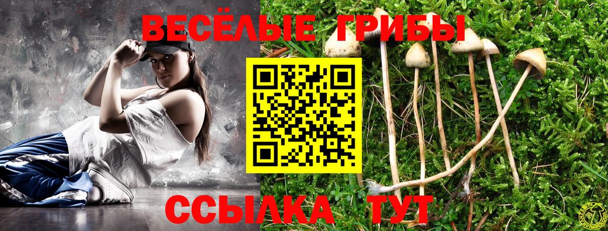 Галлюциногенные грибы Psilocybe  Вход с VPN  Красноармейск 